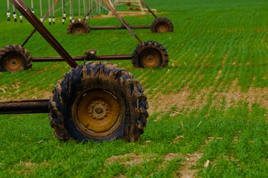 Low Automation in Agriculture: Sustaining Jobs and the Environment